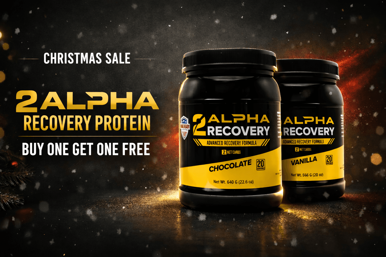 Christmas Sale: 2Alpha Recovery Protein — Buy one get one free